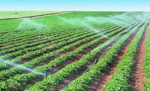 国产曰屄农田高 效节水灌溉